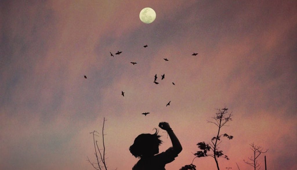 pexels-photo-556669-1